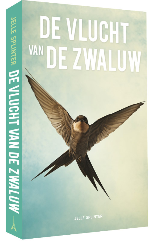 De vlucht van de zwaluw