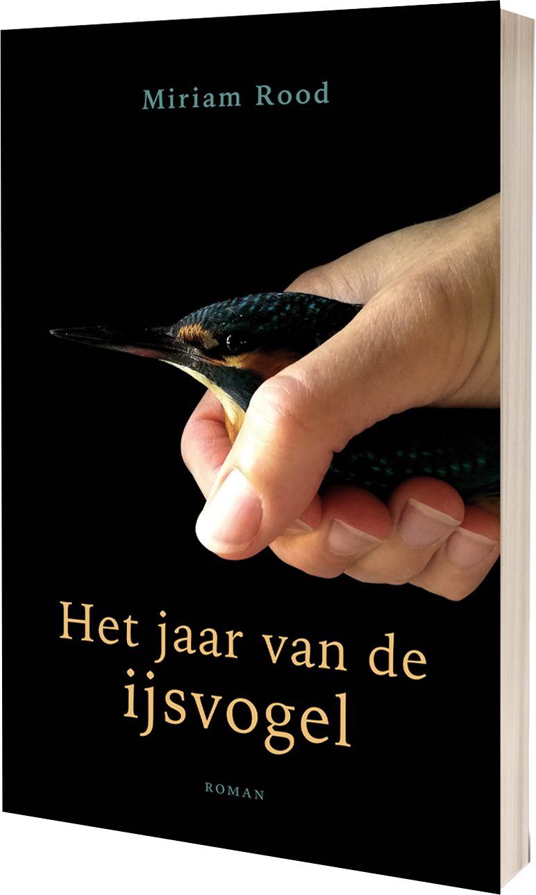 Het jaar van de zwaluw